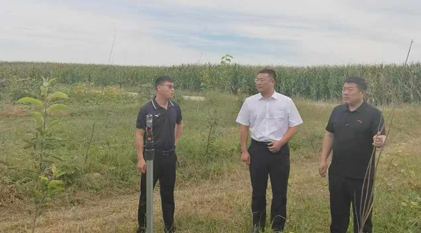 旗人民政府副旗长刘洋督导住建和生态领域违法问题集中整治工作.jpg