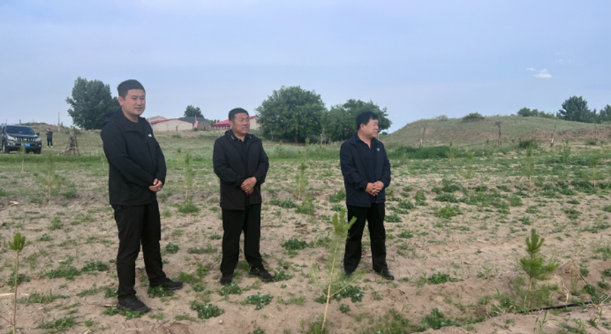 张永全主持召开中央环保督察信访案件研判会.png